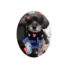 momoko_20211201220955