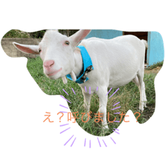 Toyoda Farm family