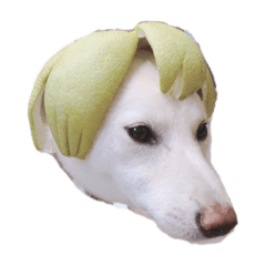 我叫晴晴唷