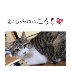 saya_20211201232525