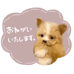 chuchuchanstamp