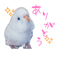 Lovely Bird Stickers