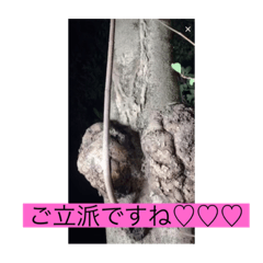 Jack_20211201190622