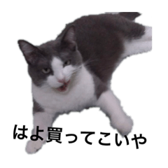 Chris_20211202124234