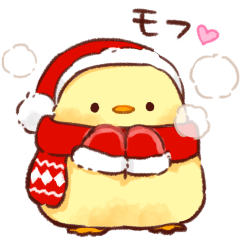 Soft and cute chick(winter)
