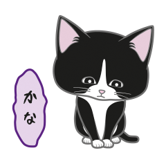 [Only for Kana](black and white cat)