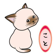 [Only for Koto](Siamese cat)