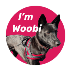 _Woobi_