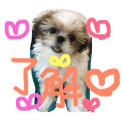 nakayoshishimai2