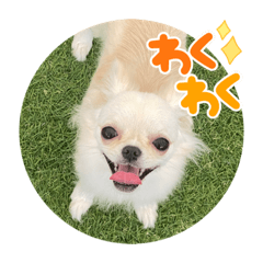 riho_20211202153409