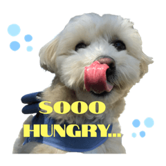 Miyuu_20211202153057