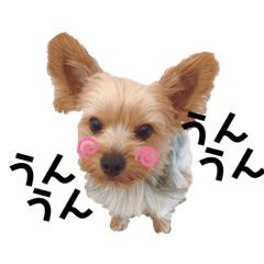 orange_20211202162118