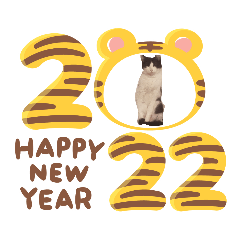 New Year CAT Ruu