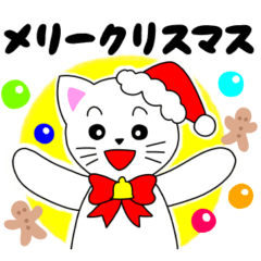 Energetic cat Christmas and New Year