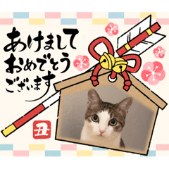 chie_20211202191233