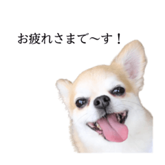 miki_20211202201529