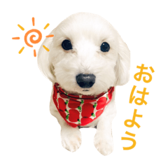 hanamama_20211202230212