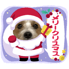 yukomo_20211202231234