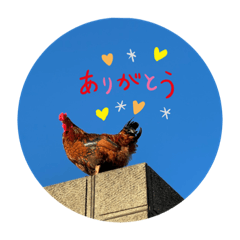 sakurako_20211203010603