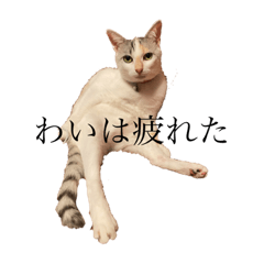 CHIHIRO_20211202230913