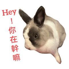 饅頭和奶茶