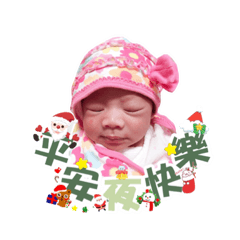 dodo Merry Christmas