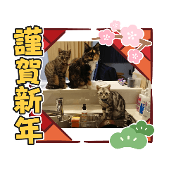 KAITO_20211203080148