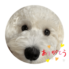 omochi_20211203101416