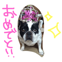 My LOVERS with MOMOchan