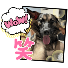 Hello我叫傻B（4）