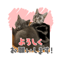 hiyori_20211203141812