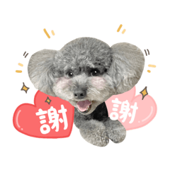 熊熊說（日常用語篇）