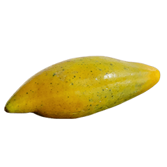 Food Series : Some Papaya