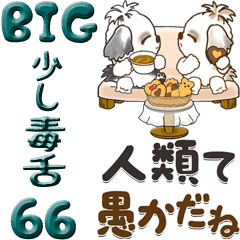 【Big】シーズー犬 66『ちょっと毒舌』