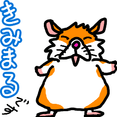 Energetic and gentle hamster Kimimaru
