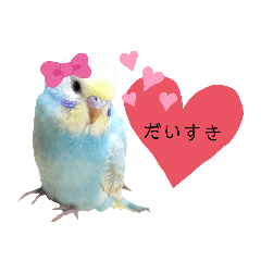 piyochannel