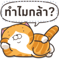 【泰文版】Lan Lan Cat: Message Stickers Part 1