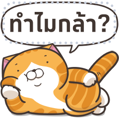 Lan Lan Cat: Message Stickers Part 1