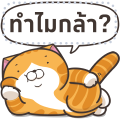 เหมียวซ่า : สติกเกอร์ข้อความ