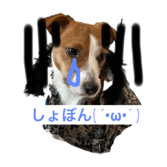 yuka_20211203182031