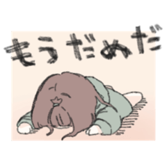 Shelly_20211204020751
