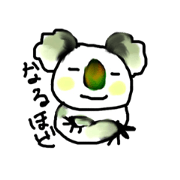 Koala of thin eyes