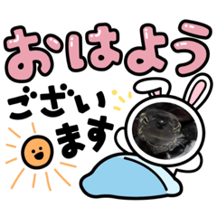 メカ