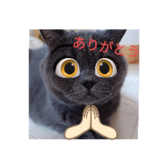 mizuki_20211203200931