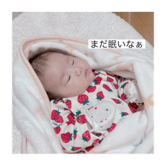 ringo_20211203191650
