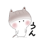 Cute helmet cat 5