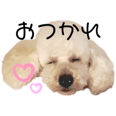 Rei_20211203233826