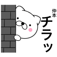 Name cat Nakamoto