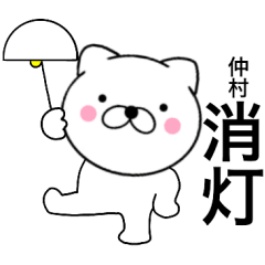 Name cat Nakamura2