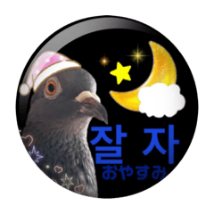 Cute pigeon Korean and Japanese sticker.